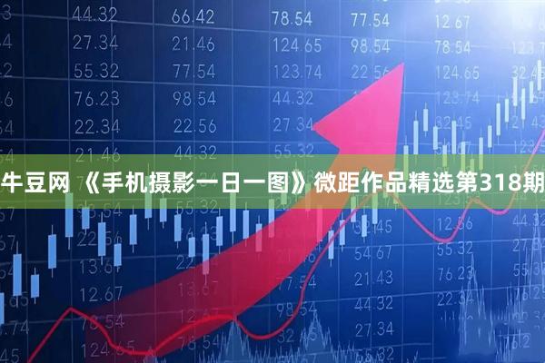 牛豆网 《手机摄影一日一图》微距作品精选第318期