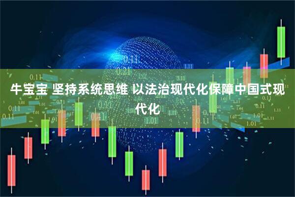 牛宝宝 坚持系统思维 以法治现代化保障中国式现代化
