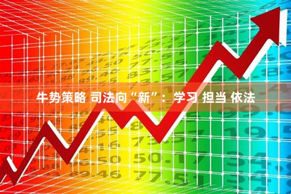 牛势策略 司法向“新”：学习 担当 依法