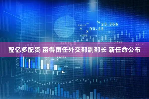 配亿多配资 苗得雨任外交部副部长 新任命公布