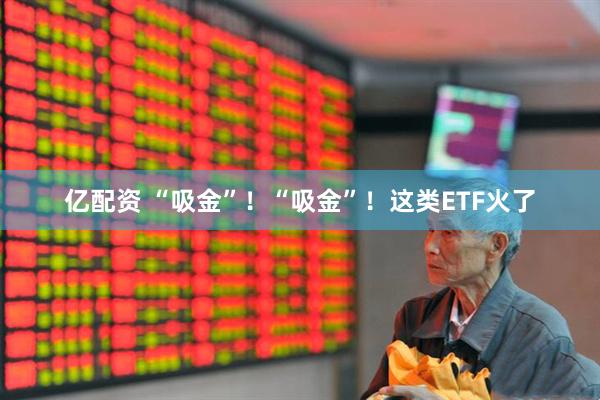 亿配资 “吸金”！“吸金”！这类ETF火了
