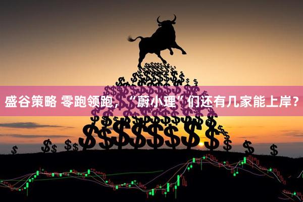 盛谷策略 零跑领跑，“蔚小理”们还有几家能上岸？