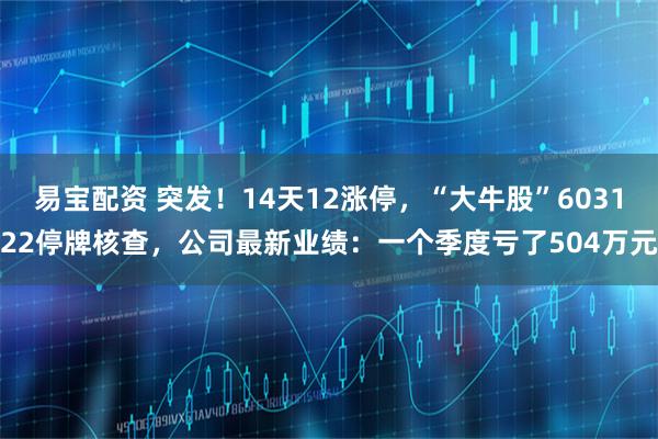 易宝配资 突发！14天12涨停，“大牛股”603122停牌核查，公司最新业绩：一个季度亏了504万元