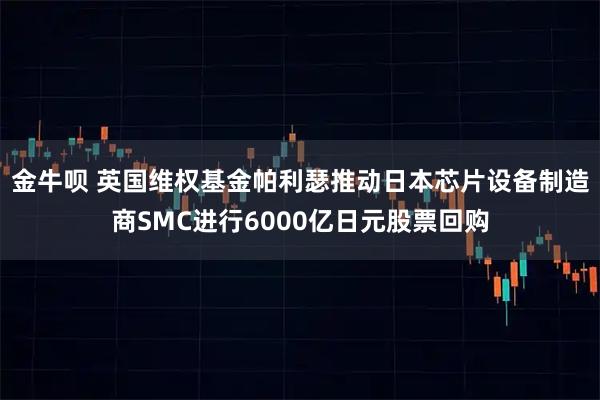 金牛呗 英国维权基金帕利瑟推动日本芯片设备制造商SMC进行6000亿日元股票回购
